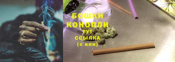 сатива Няндома
