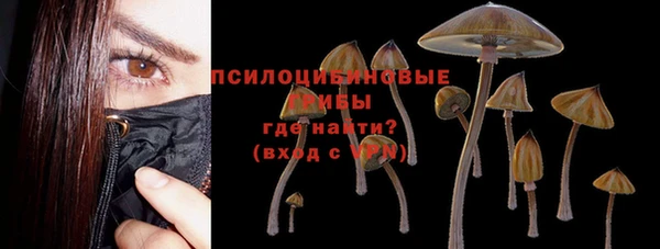 сатива Нягань
