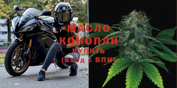 сатива Няндома