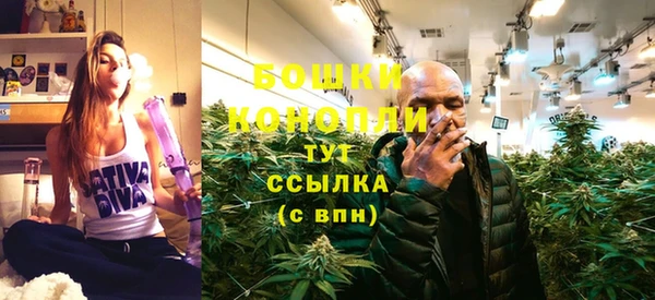 трава Абаза