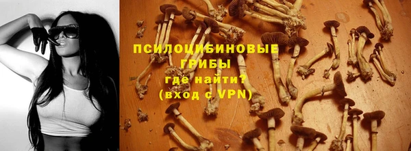 дживик Нязепетровск