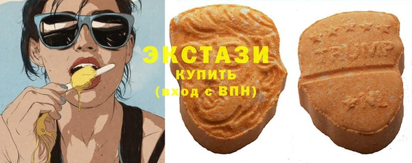 сатива Няндома