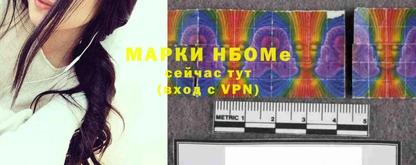 сатива Няндома
