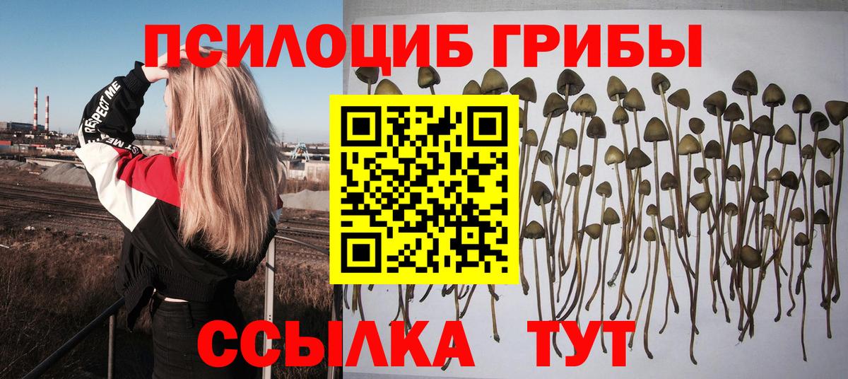 Галлюциногенные грибы мухоморы Липецк